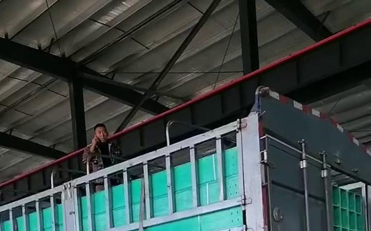 從化玻璃鋼電纜橋架廠家