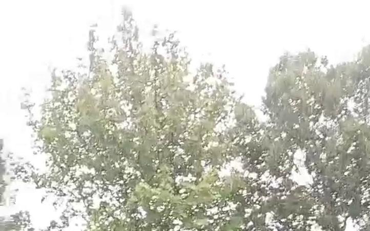 宜城玻璃鋼槽式電纜橋架